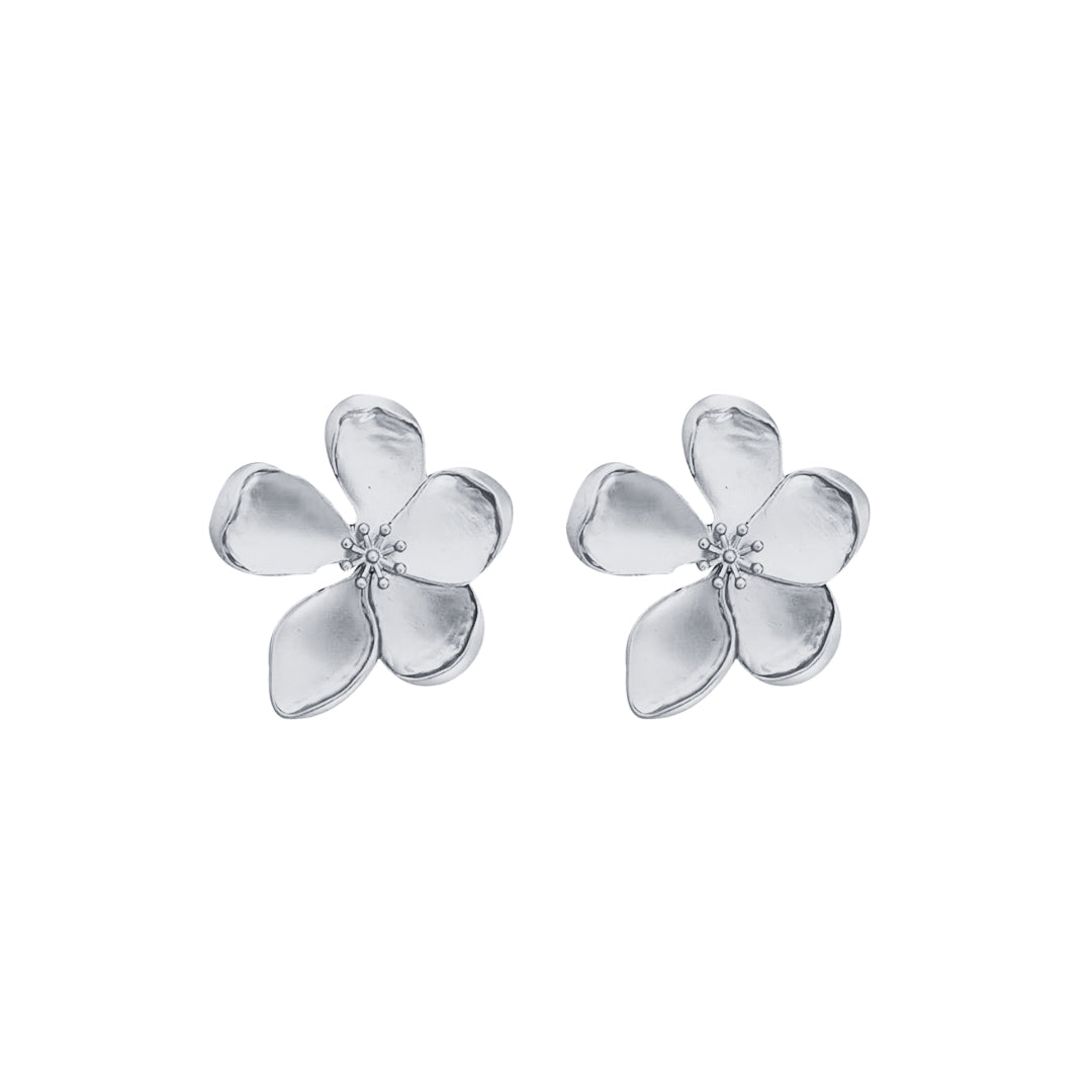 Alara Earrings - Silver
