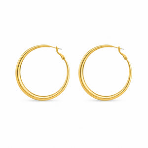 Fione Örhängen - Guld