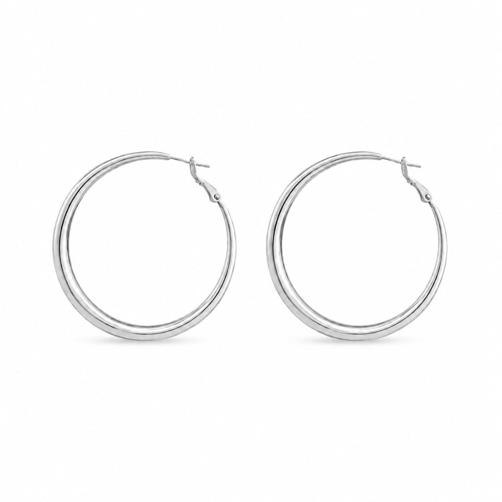Fione Örhängen - Silver